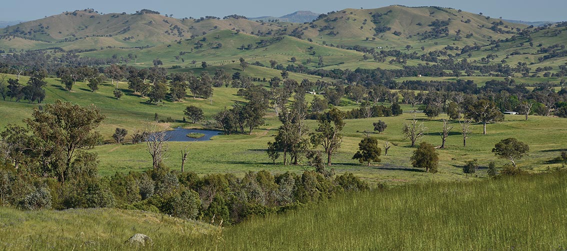 Bibbaringa Farm