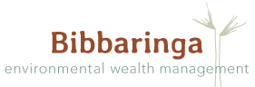 Bibbaringa Cattle Farm Logo