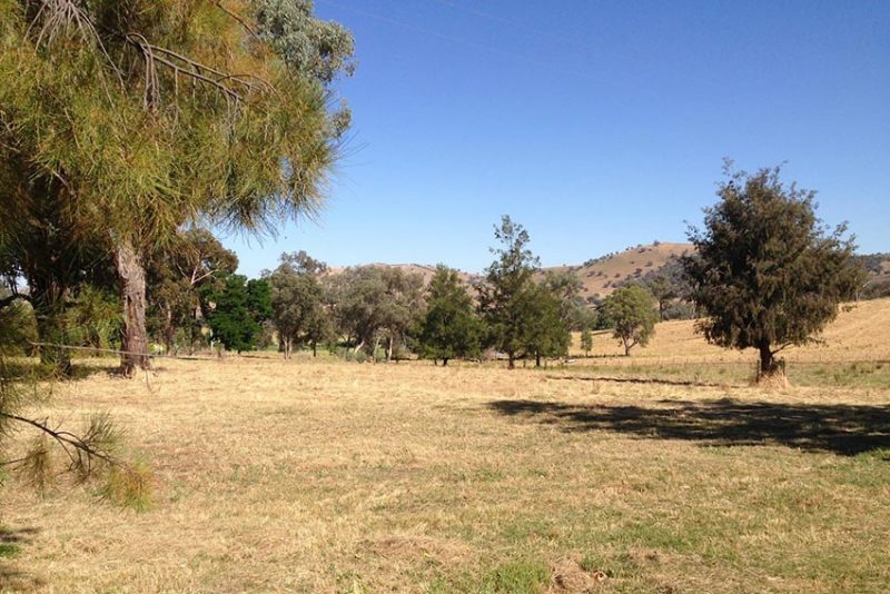 Farm Stay Bibbaringa Cattle Farm