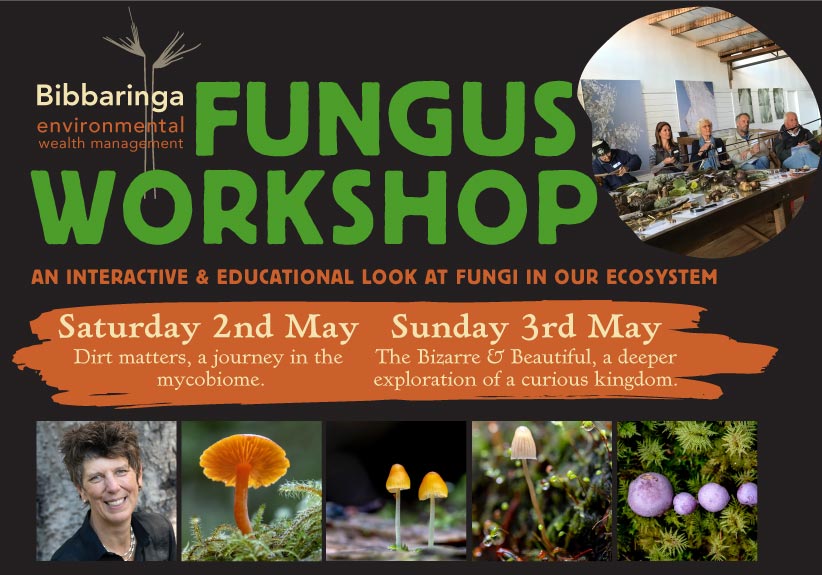 Fungus Workshop at Bibbaringa