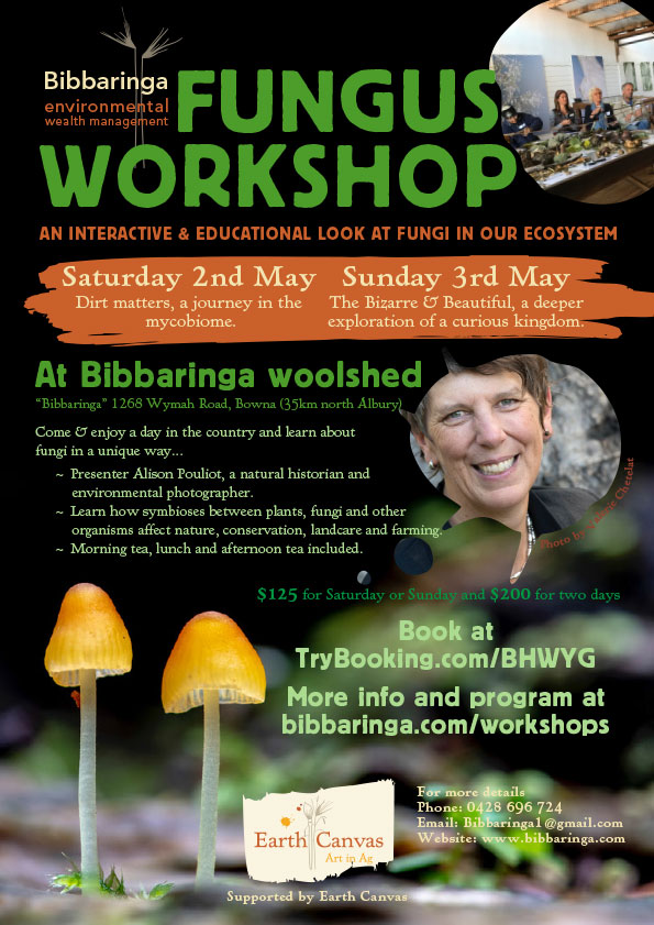 Fungus Workshop at Bibbaringa