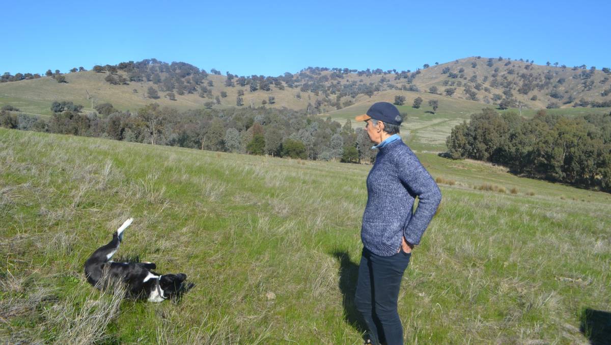 Renewing-Pastoral-Landscape-5 Renewing a Pastoral Landscape