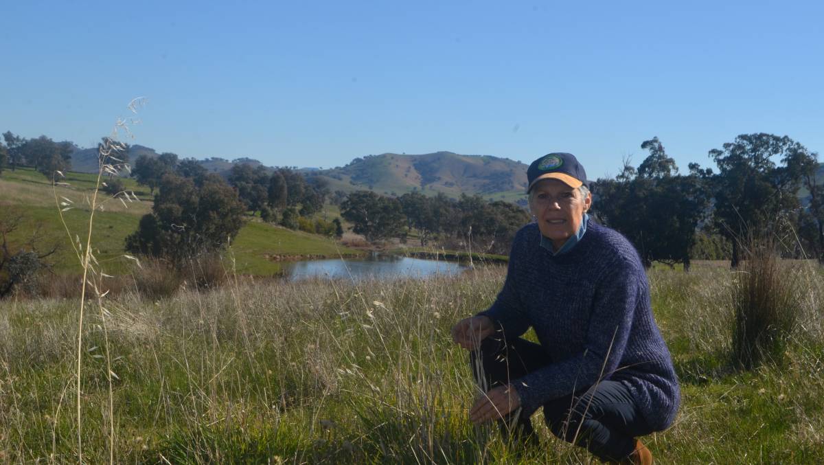 Renewing-Pastoral-Landscape-6 Renewing a Pastoral Landscape