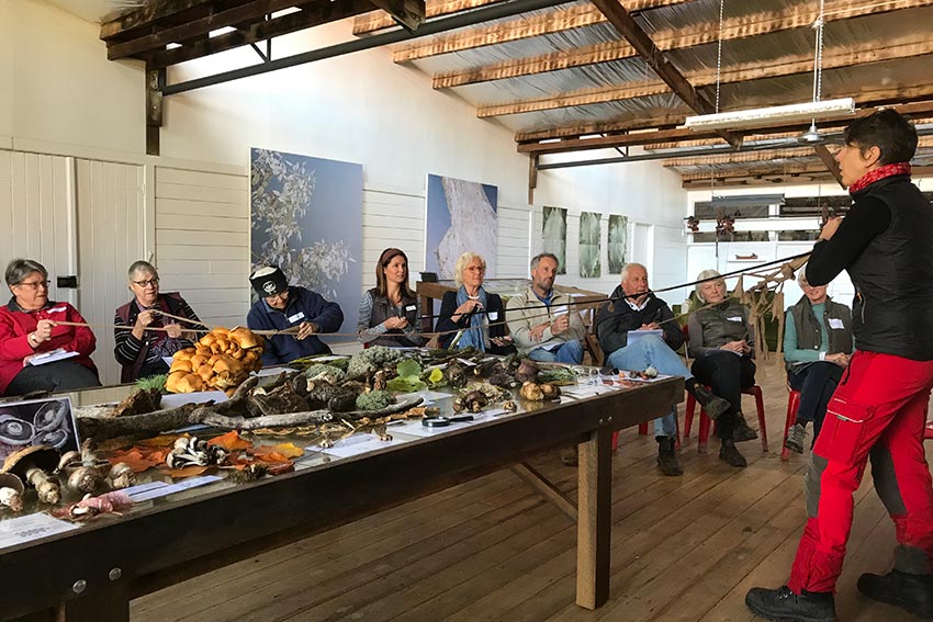 Venue hire conference art studio WoolShed Bibbaringa