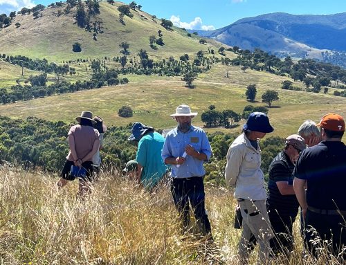 Natural Capital Accounting article