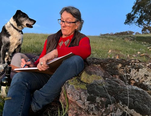 Staying with the Trouble –  Regeneration